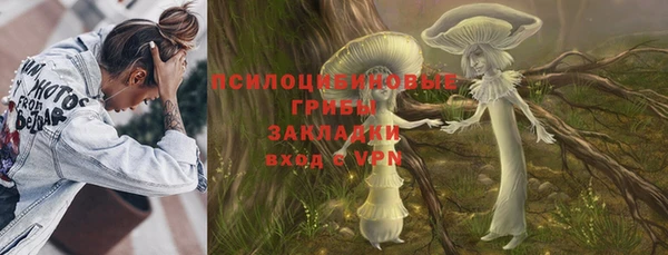 винт Алексеевка