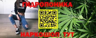 стафф Шали