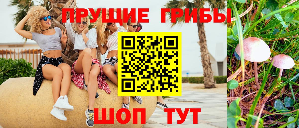 Псилоцибиновые грибы мицелий  Вход с VPN  Владимир  Галлюциногенные грибы Cubensis 
